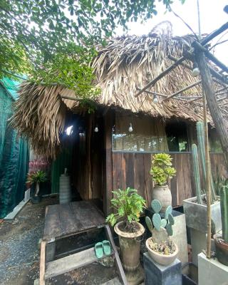 Cactos Bar & Homestay