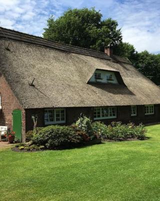 Idyllische Ferienwohnung in Wiefelstede