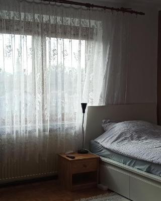 Pokój blisko centrum