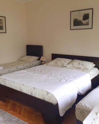 Guesthouse Gavrilović 28 A