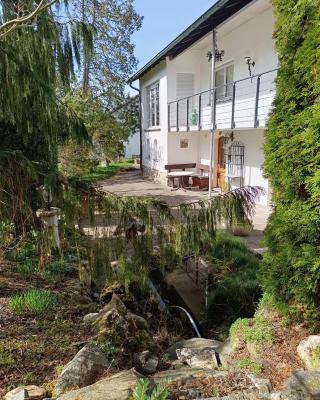 Ferienwohnung Waldblick