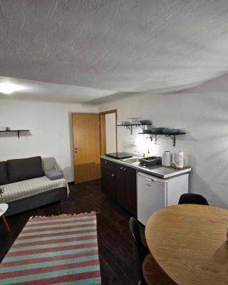 Apartment Slavija