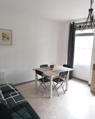 Appartement-Vierzon-centre