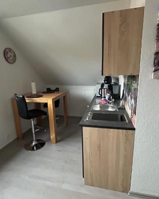 1 Zi Apartment im Stadtzentrum