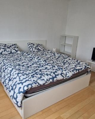 Bright and cozy room close to airport moyen