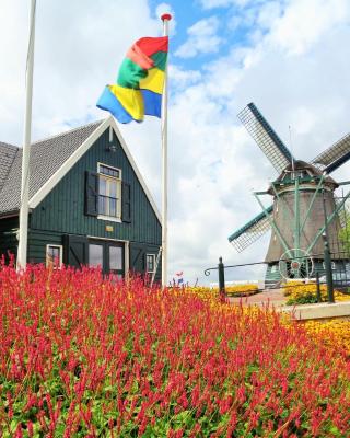 Spacious Holiday Home in the Beemster near a Windmill