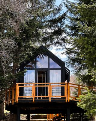 Kuća na drvetu - Zlatar Hill - Treehouse
