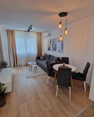 Apartman Despot