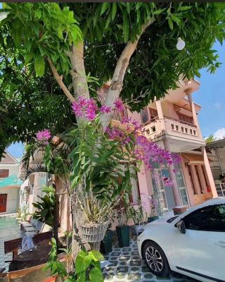 San Vuon Guesthouse