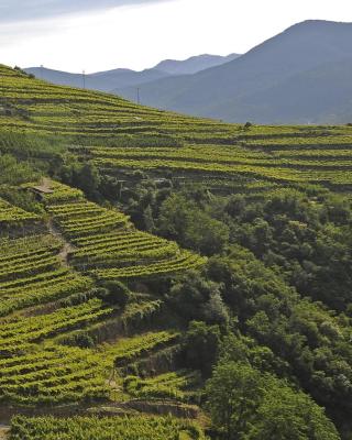 Cà Dina - Appartamento in Val di Cembra