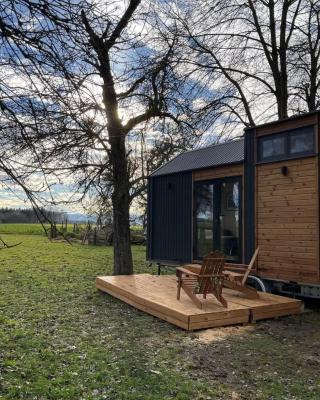 Lisi Grun Tiny House