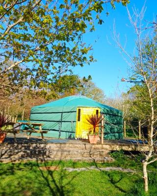 The Yurt in Cornish woods a Glamping experience