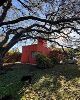 La casita anaranjá