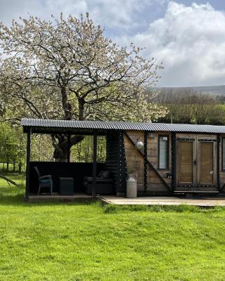 1 Bed converted Railway Wagon near Crickhowell