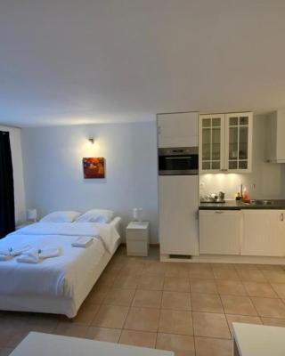 JOY06 Mango Spirit Suites