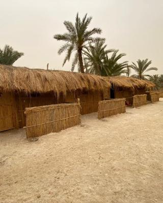 Paloma Camp