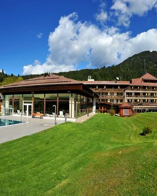 OptimaMed Gesundheitsresort Weißbriach GmbH