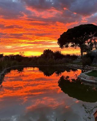 Oasis Camp Portugal