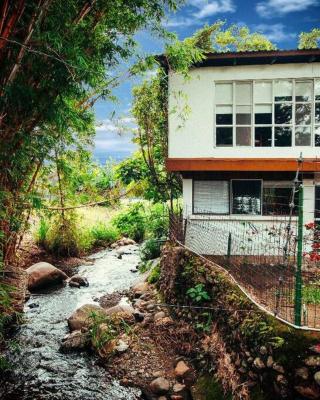 Rainforest Cabin in Escazu