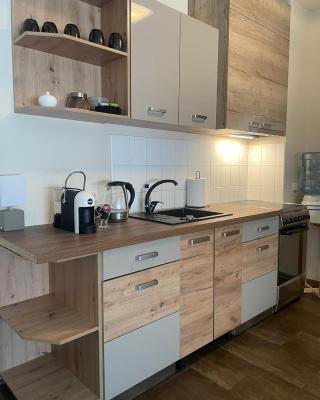 Studio apartamenti Cēsis