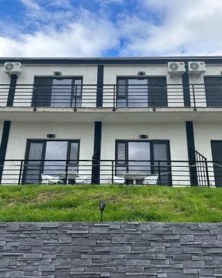 Casa Amnisty