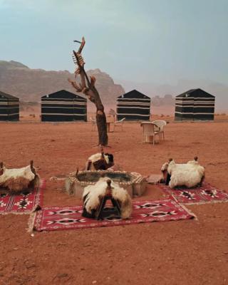 Wadi Rum Bedouin Heart Camp