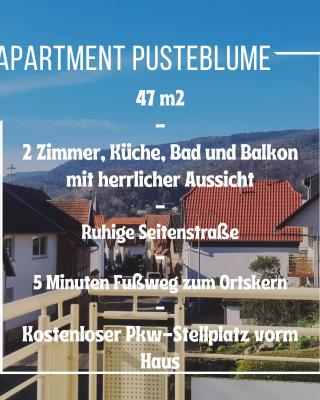 Apartment Pusteblume mit Balkon, neu teilrenoviert