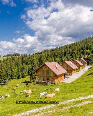 Beautiful Holiday Home in Weinebene with Sauna