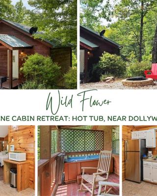 Serene Cabin Retreat Hot Tub, Near Dollywood