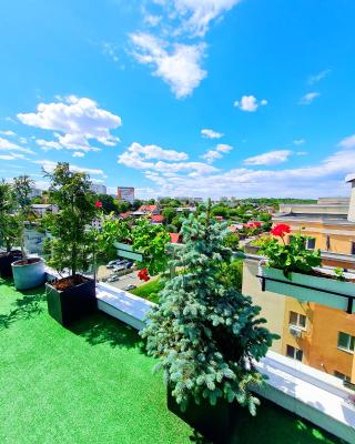 Penthouse View Aeroport Iasi