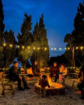 Ghar El Melh Outdoors