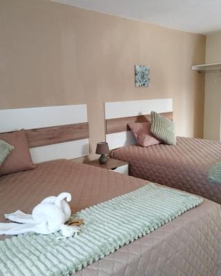 Hotel Urban Home