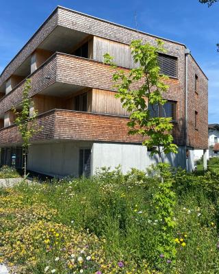 BOUTIQUE APARTMENTS LUSTENAU Nachhaltige Kühlung über Erdsonde und Fussbodenkühlung