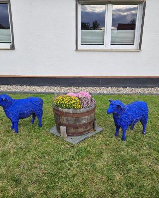 Ferienwohnung zu den Blauen Schafen