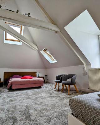 Chambre spacieuse pour 4 pers. avec SDB privée et PDJ inclus à Châteauroux - FR-1-591-388
