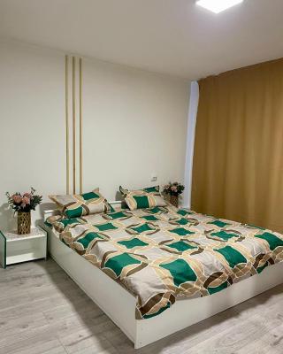 Apartament House Sasca