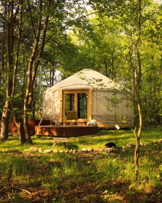 Dacza Puchacza Glamping