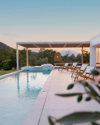 Aristotelia Gi - Premium Luxury Villas with Private Pools