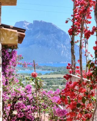 Suite Suliana