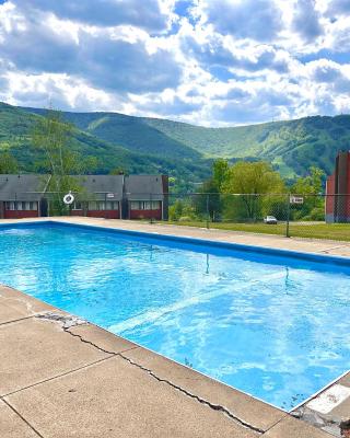 SPECTACULAR CATSKILLS 4 BEDROOM VACATION OASIS- Gorgeous Hunter Mountain Views!