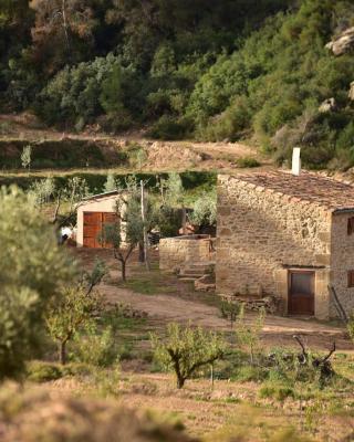 Casa La Rabosa Maella Aragon