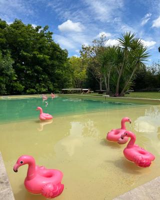 Le Patio, chambres d hôtes pour adultes en Camargue, possibilité de naturisme à la piscine,