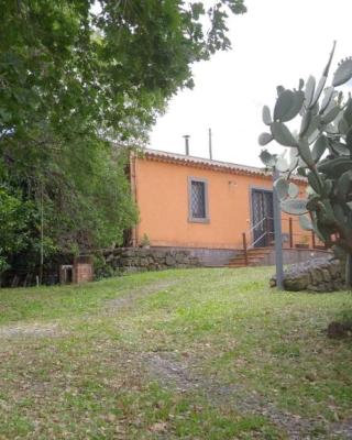 La casa di Bacco - Etna Country House - Affitto breve