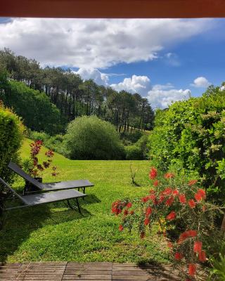 Appartement calme avec jardin Bidart Biarritz