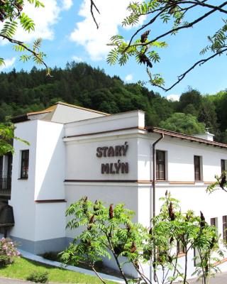Starý mlýn - Wellness Hotel Penzion Apartmány v Českém ráji