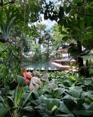 The Nature