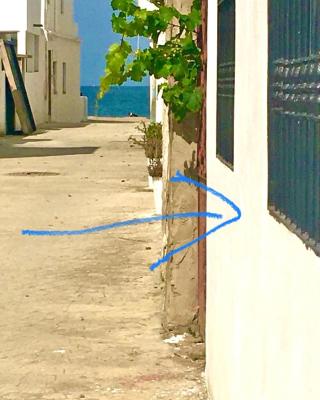 Blue holiday