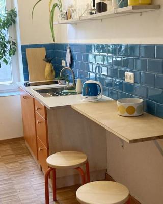 Little Fine Apartment close to Leipzig