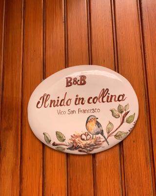Il Nido in Collina