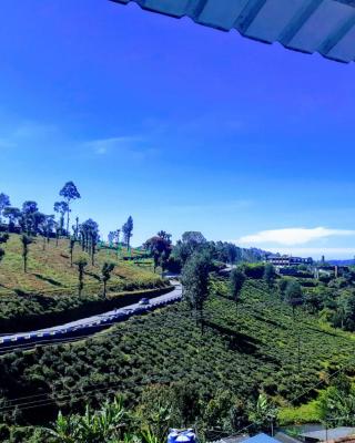 RIVERVIEW HOMESTAy